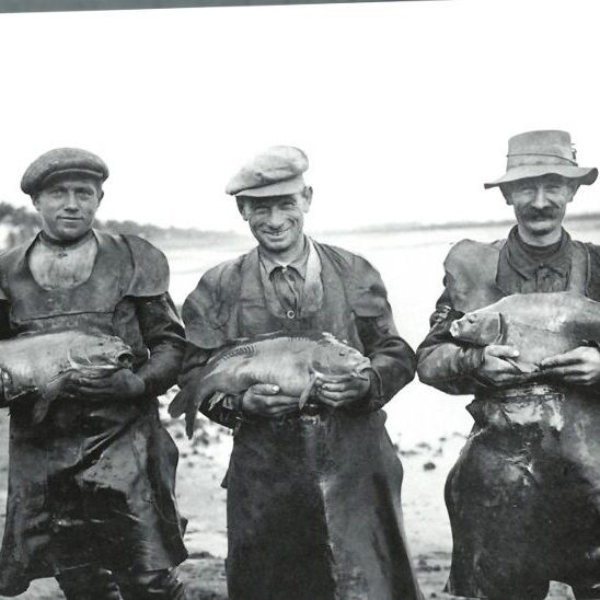 Quelle: Karpfen & Co, Teichwirtschaft in der Lausitz