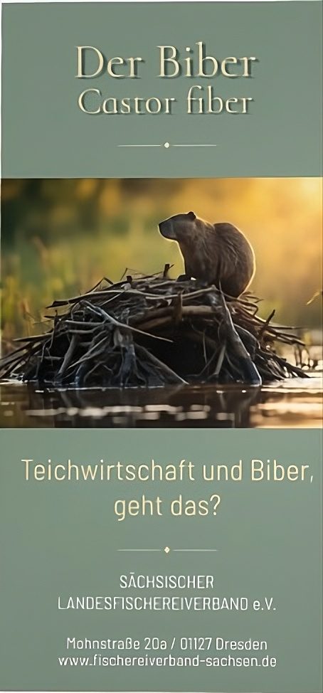 Michael Bärisch