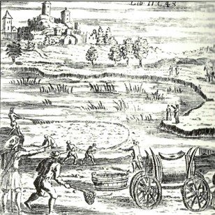 Quelle: Teichwirtschaft in der Oberlaustiz